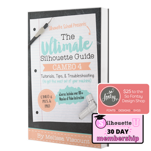 Shop Silhouette CAMEO 4!! EVERYTHING You Need to Know! - Silhouette School